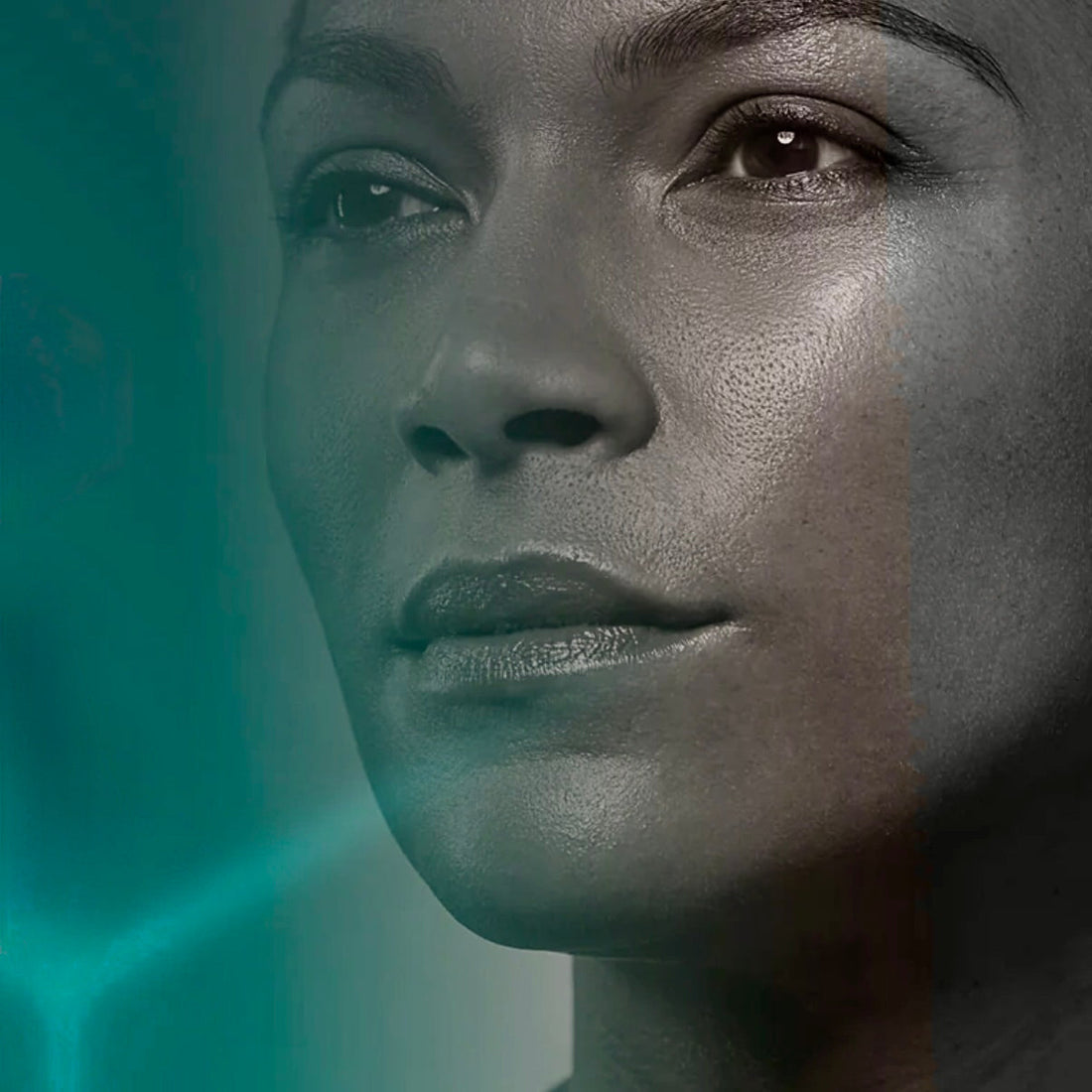 Alle QMS Producten op een rij