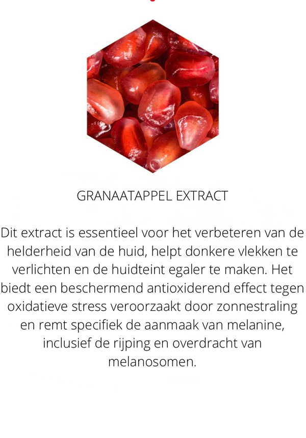Ingrediënten in the Spotlight