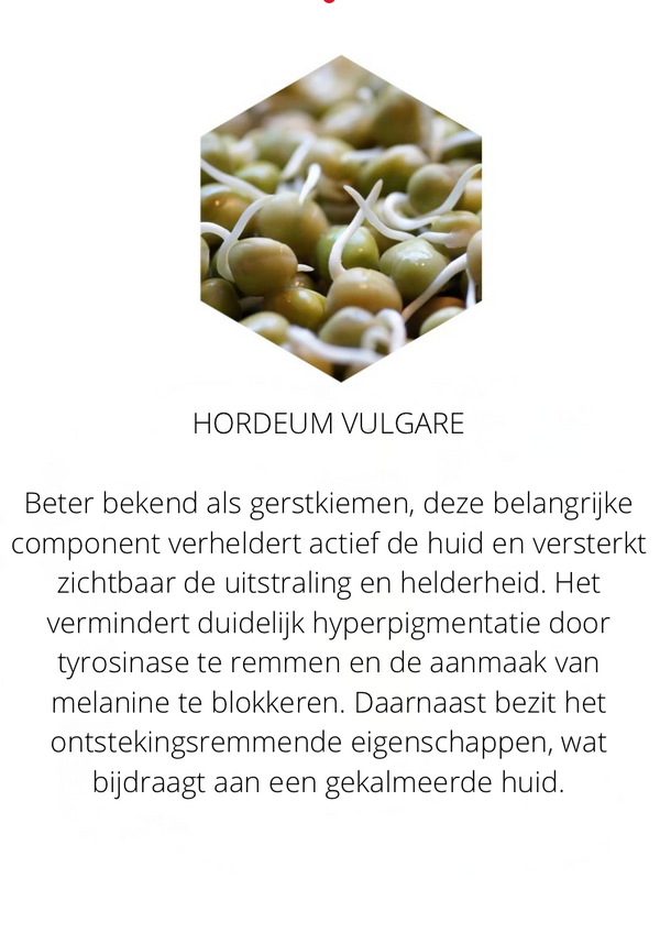 Ingrediënten in the Spotlight
