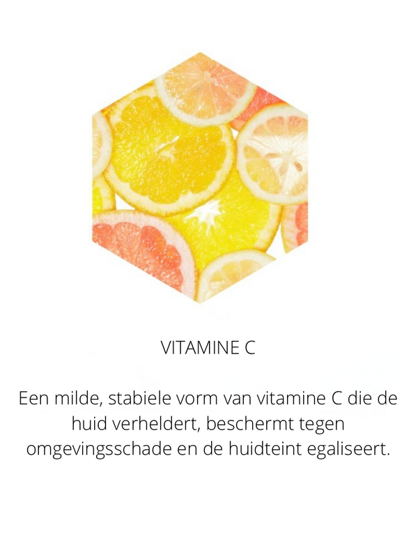 Ingrediënten in the Spotlight