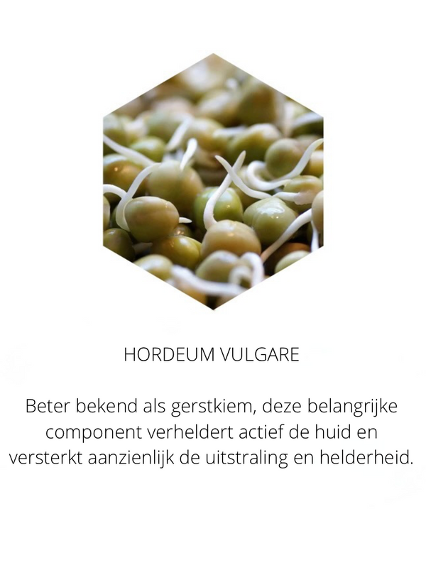 Ingrediënten in the Spotlight