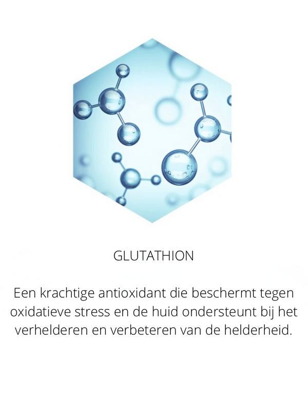 Ingrediënten in the Spotlight