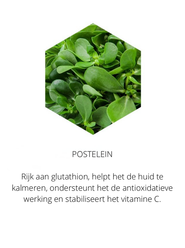 Ingrediënten in the Spotlight