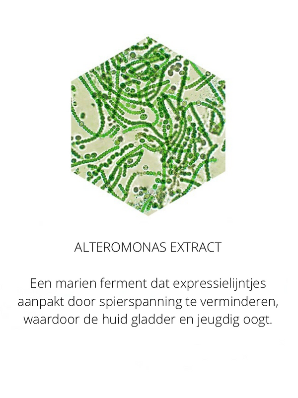 Ingrediënten in the Spotlight