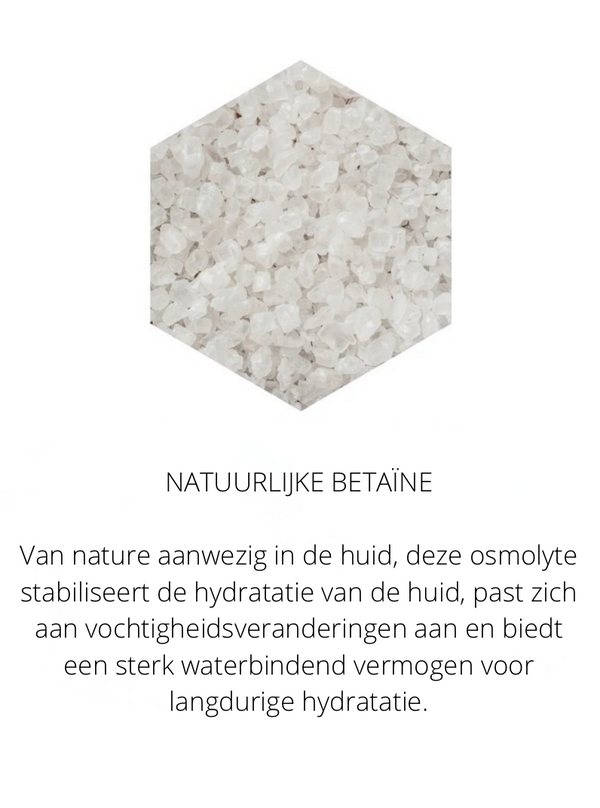 Ingrediënten in the Spotlight
