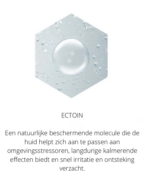 Ingrediënten in the Spotlight