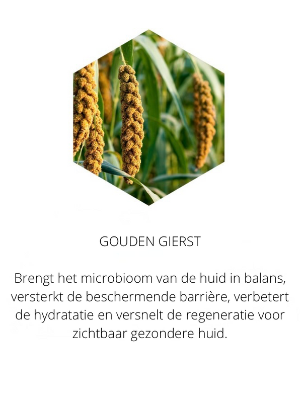 Ingrediënten in the Spotlight