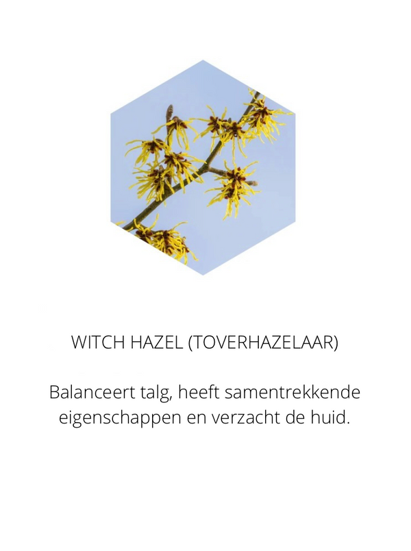 Ingrediënten in The Spotlight
