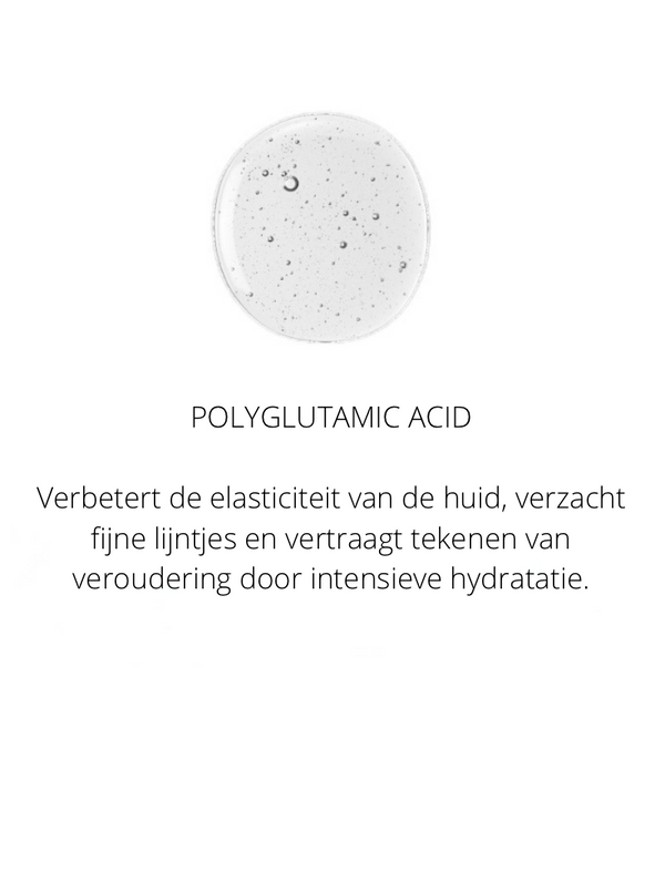 Ingrediënten in the Spotlight