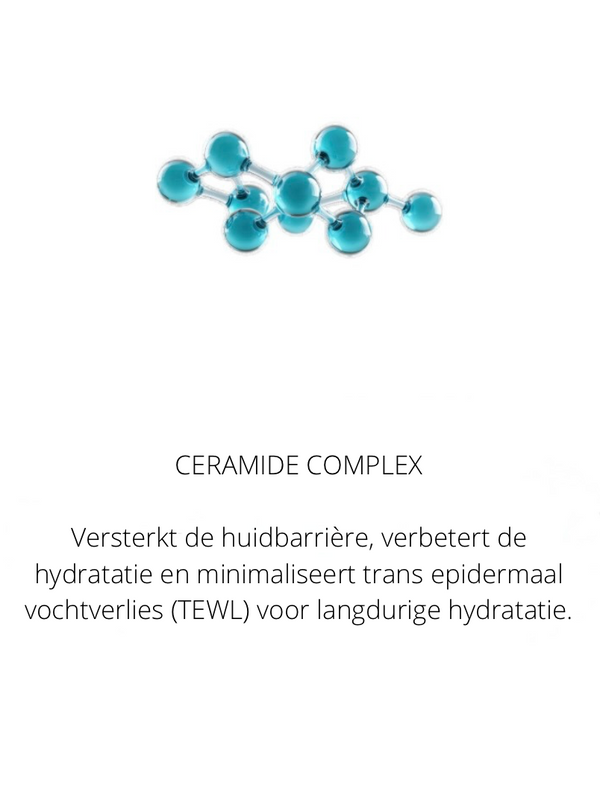 Ingrediënten in the Spotlight