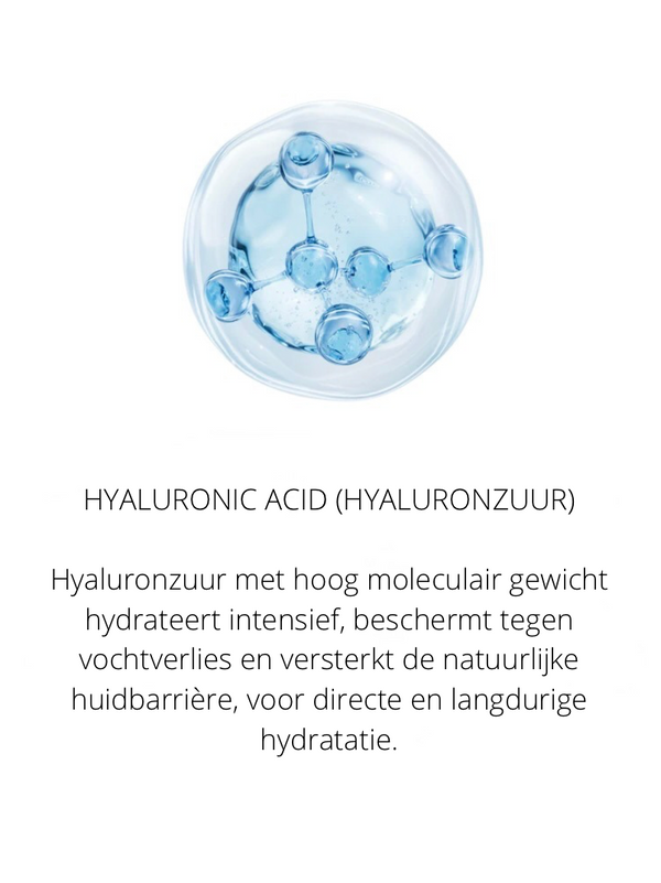 Ingrediënten in the Spotlight