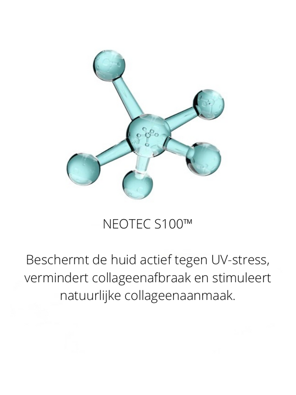 Ingrediënten in The Spotlight
