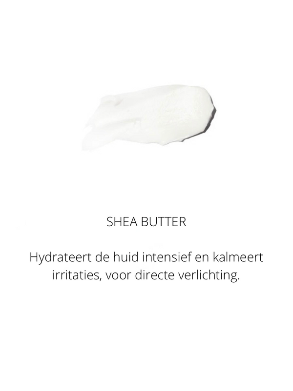 Ingrediënten in the Spotlight