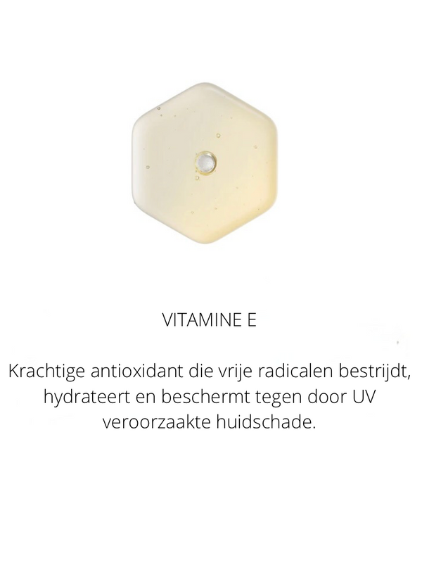 Ingrediënten in the Spotlight