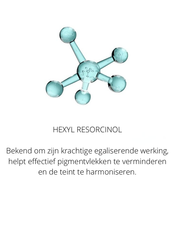 Ingrediënten in the Spotlight