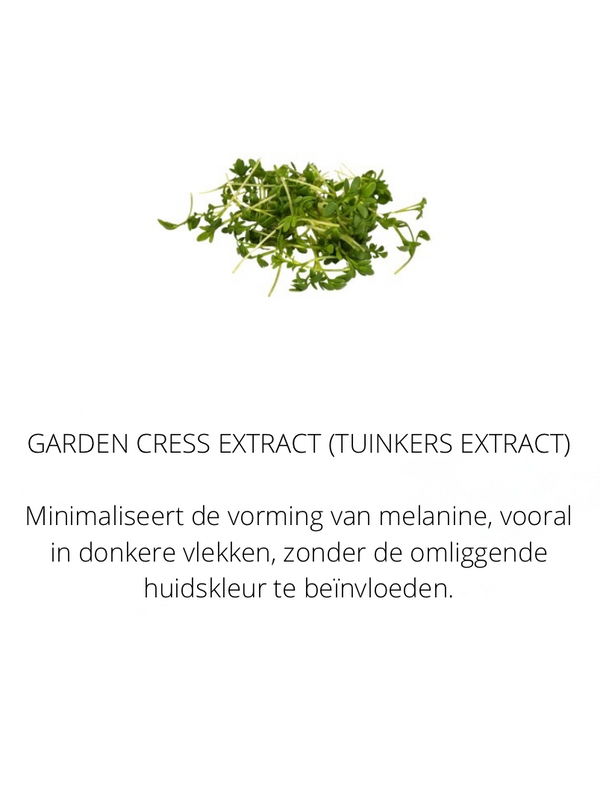 Ingrediënten in the Spotlight