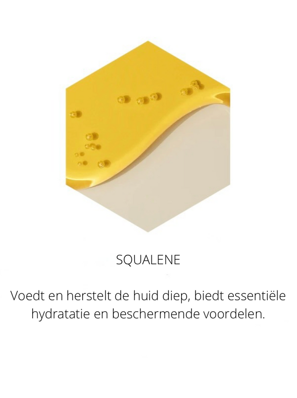 Ingrediënten in the Spotlight