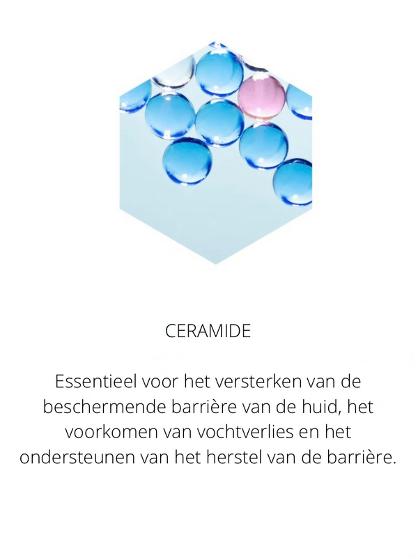 Ingrediënten in the Spotlight