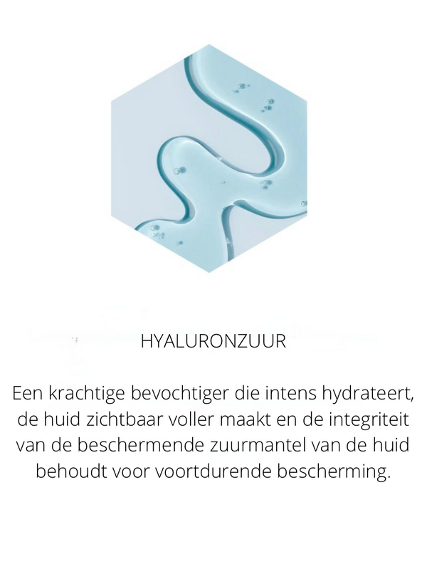 Ingrediënten in the Spotlight