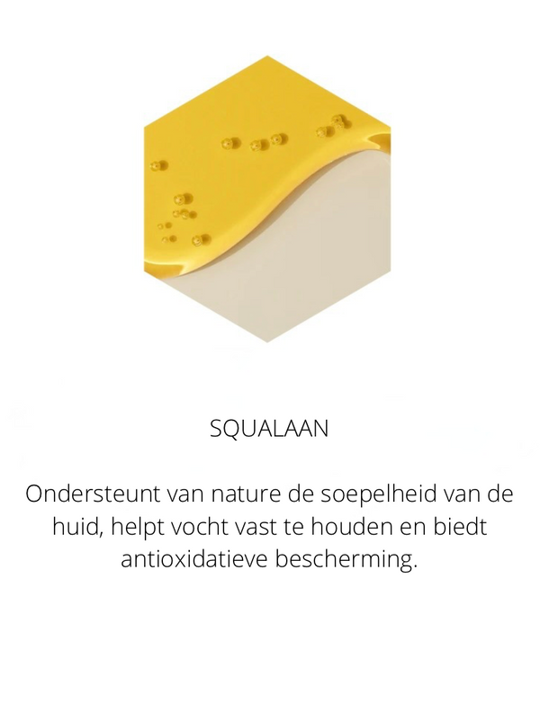 Ingrediënten in the Spotlight
