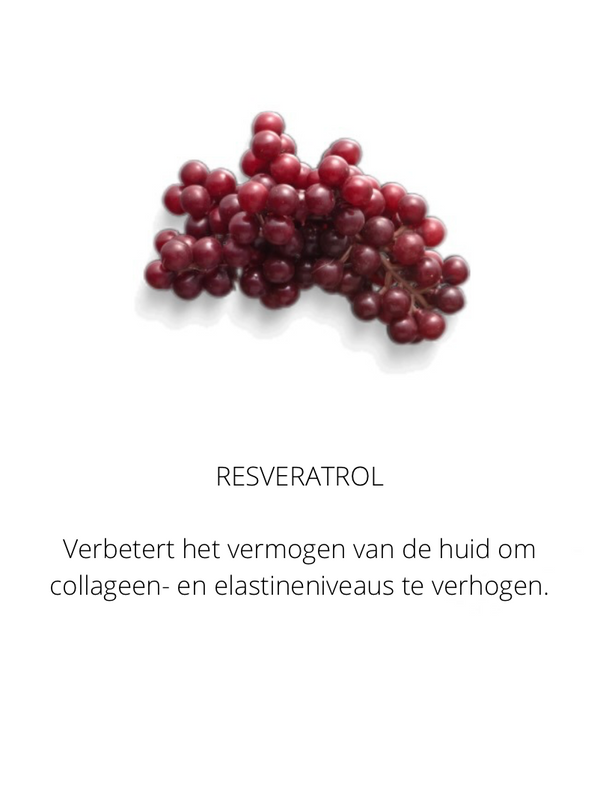Ingrediënten in the Spotlight