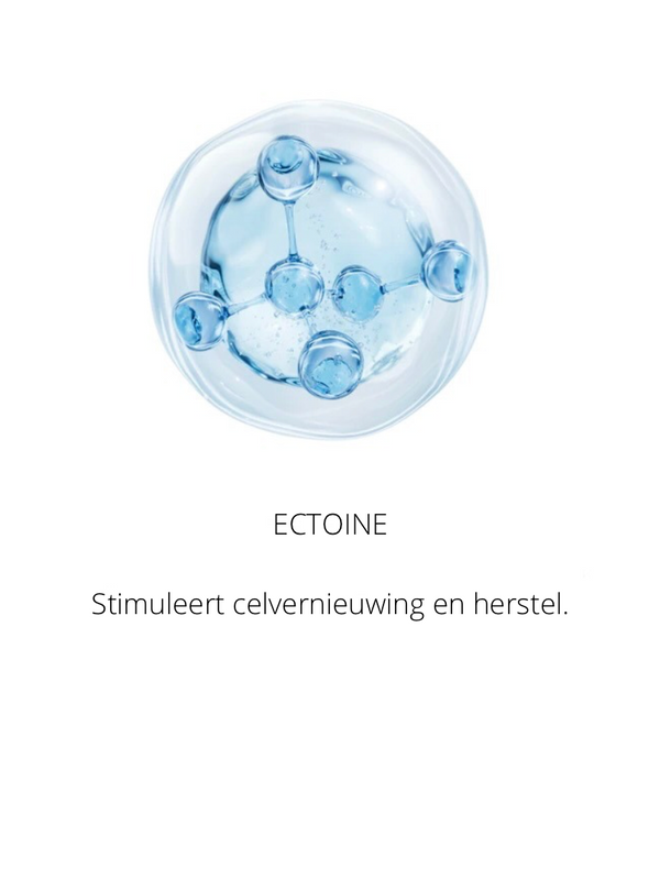 Ingrediënten in the Spotlight