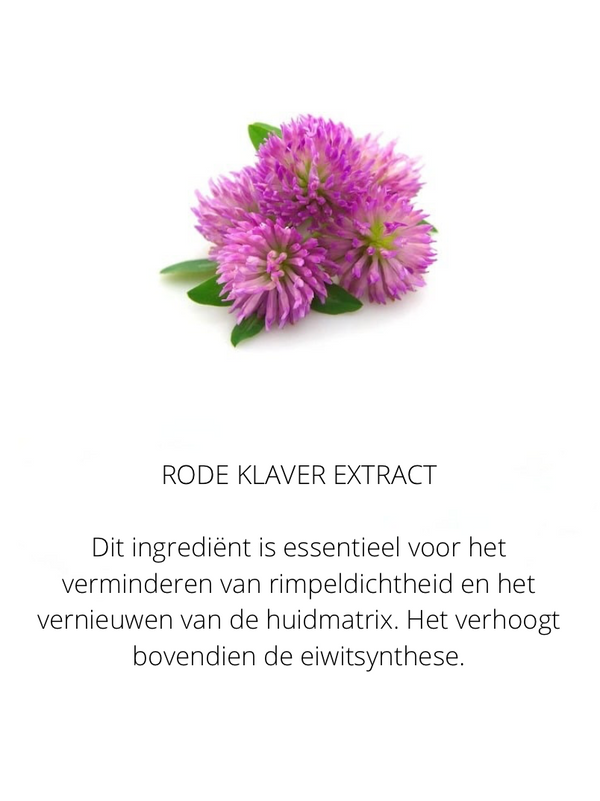 Ingrediënten in the Spotlight
