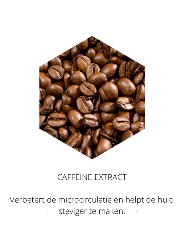Ingrediënten in the Spotlight