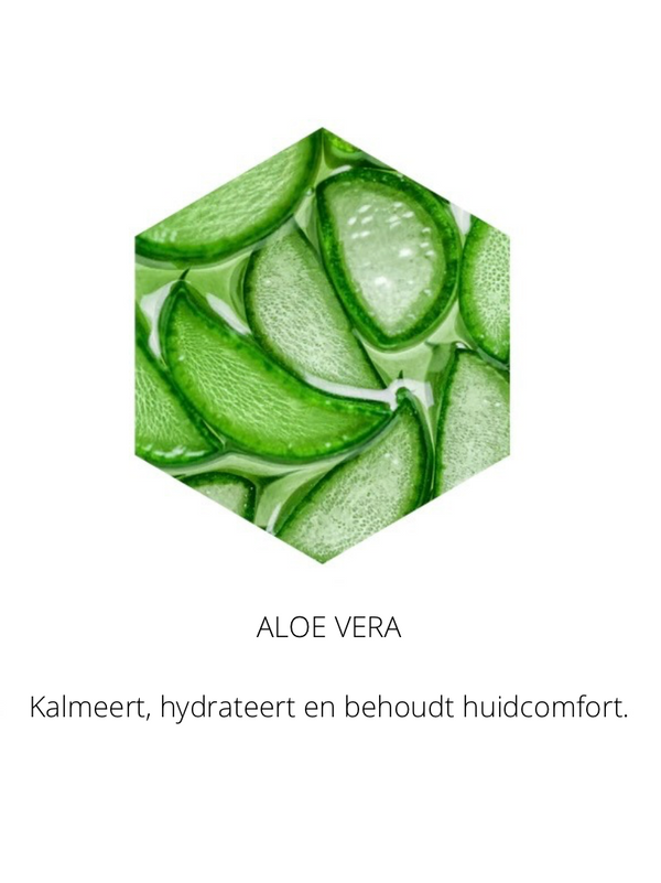 Ingrediënten in the Spotlight
