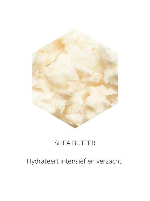 Ingrediënten in the Spotlight