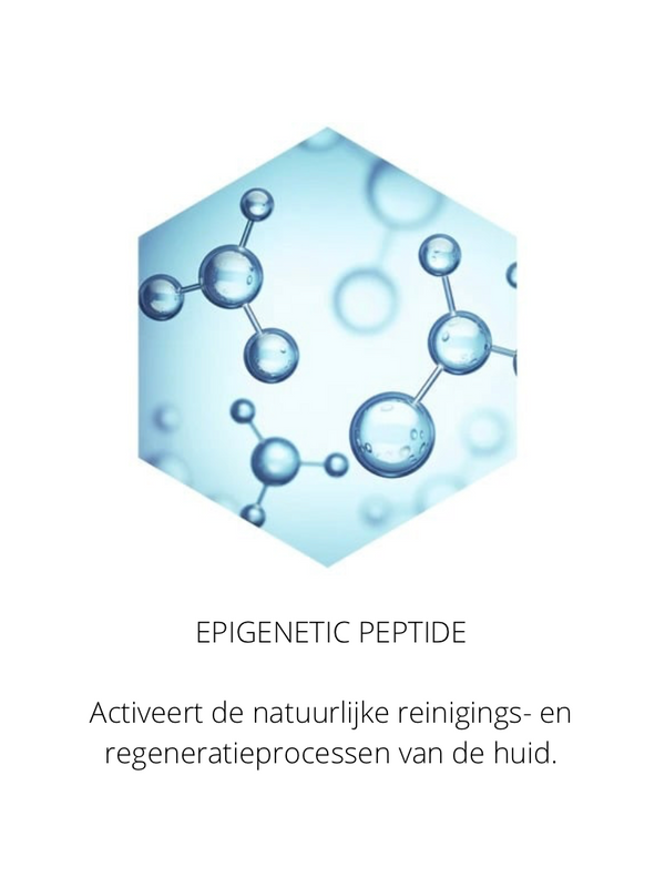 Ingrediënten in the Spotlight