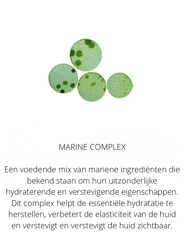 Ingrediënten in The Spotlight