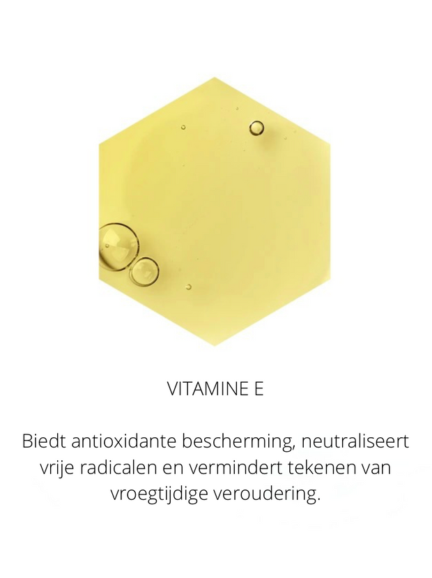 Ingrediënten in the Spotlight
