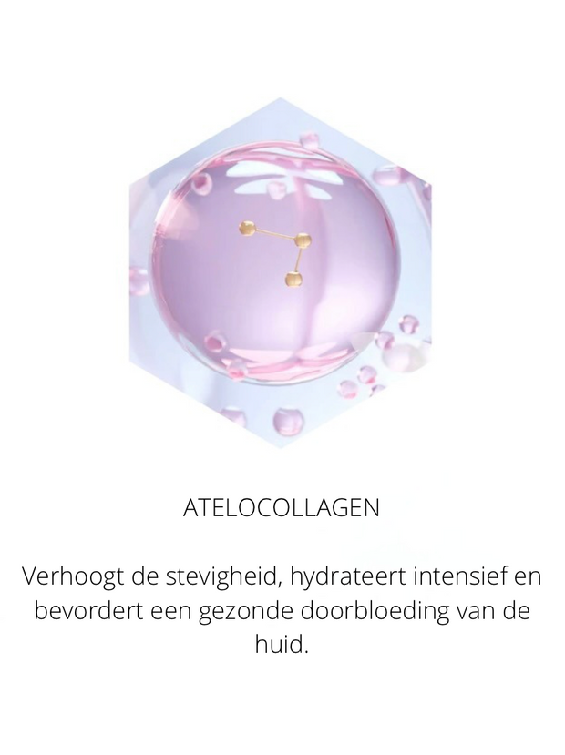 Ingrediënten in the Spotlight