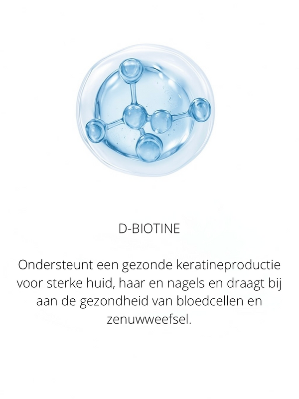 Ingrediënten in the Spotlight