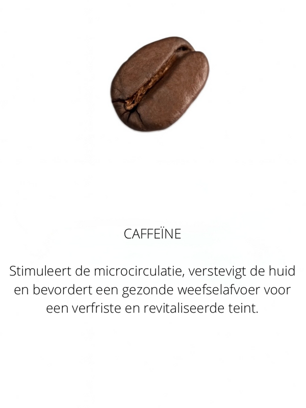 Ingrediënten in the Spotlight
