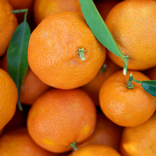 antioxidanten huidverzorging, vitamine C serum, anti-aging crème, skincare routine, huid beschermen tegen vrije radicalen.