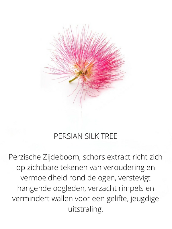 Ingrediënten in The Spotlight