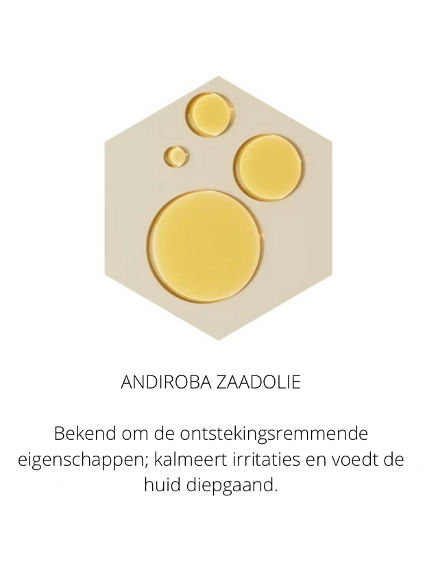 Ingrediënten in the Spotlight