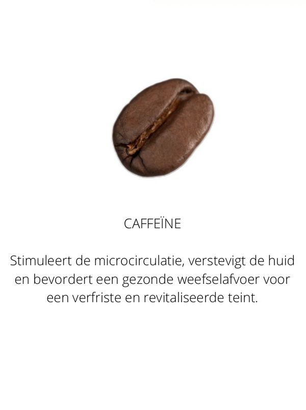 Ingrediënten in the Spotlight